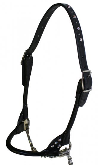 (image for) Bling Cattle Show Halter - Click Image to Close