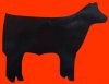 (image for) Show Steer Decal