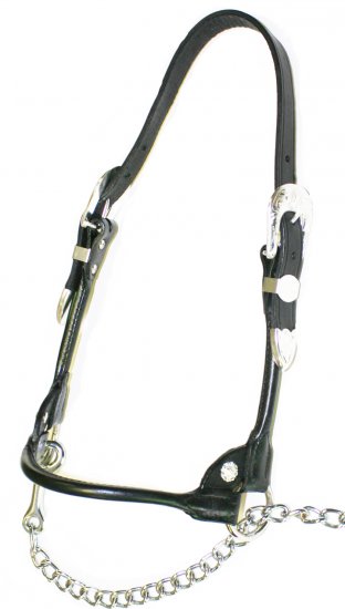(image for) Western Edge Cattle Show Halter - Small - Click Image to Close