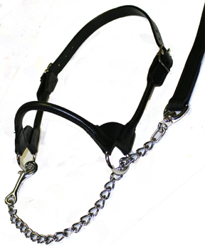 (image for) Rolled Nose Cattle Show Halter - Medium (850-1400 lbs.) - Click Image to Close