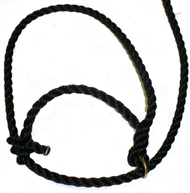 (image for) Slide Ring Rope Halter - Click Image to Close