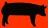 (image for) Show Pig Decal