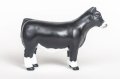 (image for) Simmental Show Heifer