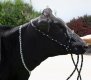 (image for) Show Stall Neck Chain for Dairy Cattle