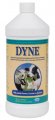 (image for) DYNE - Quart