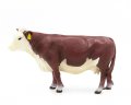 (image for) Hereford Cow