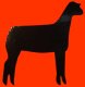 (image for) Show Lamb Decal