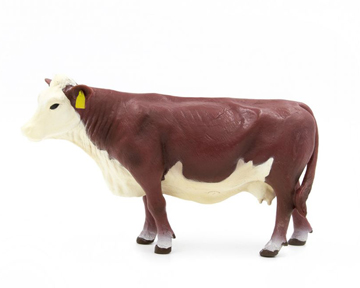 (image for) Hereford Cow