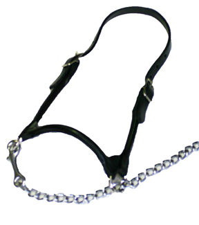 (image for) Rolled Nose Cattle Show Halter - Extra Small (300-500 lbs.) - Click Image to Close