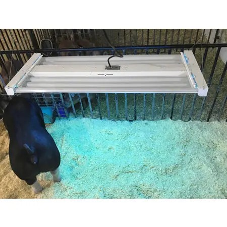 (image for) Insta-Tan Hog Tanning Lights